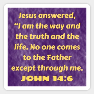 Bible Verse John 14:6 Magnet